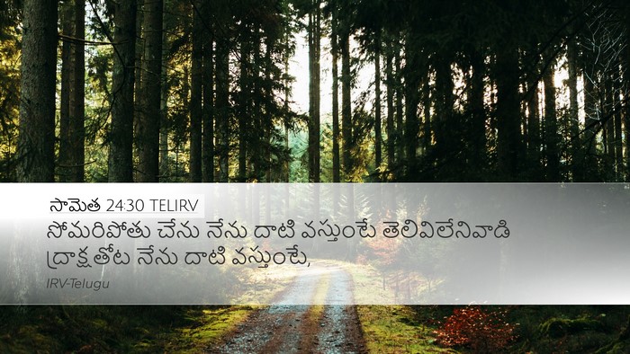 సామెత 24:30 TELIRV Bible Verse Image