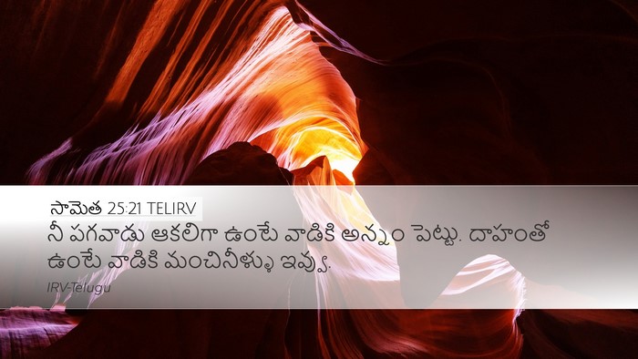 సామెత 25:21 TELIRV Bible Verse Image
