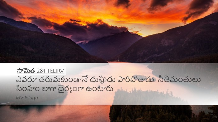 సామెత 28:1 TELIRV Bible Verse Image