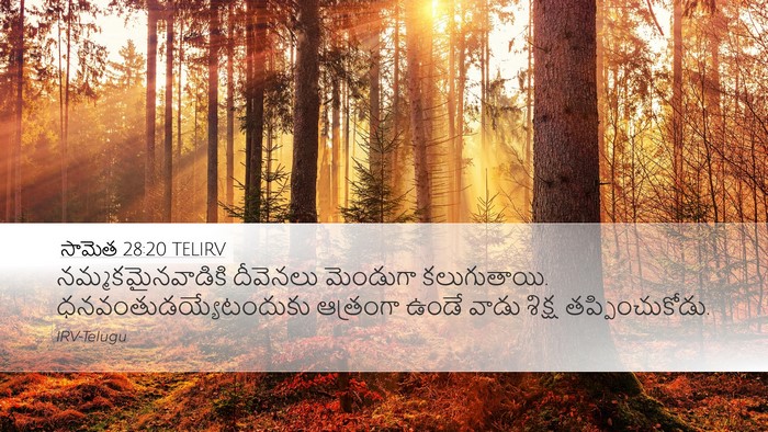 సామెత 28:20 TELIRV Bible Verse Image