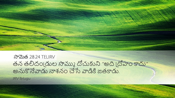 సామెత 28:24 TELIRV Bible Verse Image