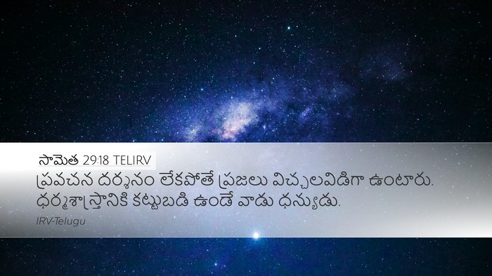 సామెత 29:18 TELIRV Bible Verse Image