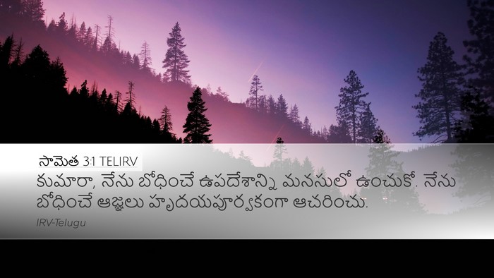 సామెత 3:1 TELIRV Bible Verse Image
