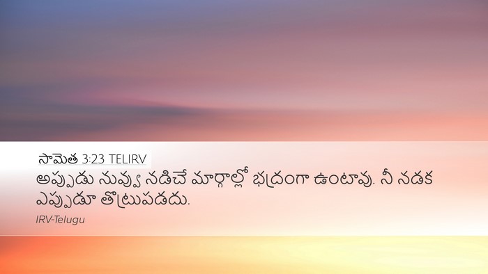 సామెత 3:23 TELIRV Bible Verse Image