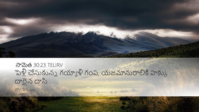సామెత 30:23 TELIRV Desktop Wallpaper - పెళ్లి చేసుకున్న - Desktop Bible Verse Wallpaper