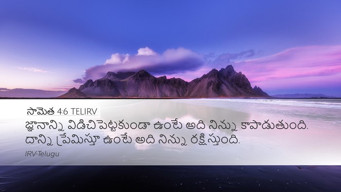 సామెత 4:6 TELIRV Bible Verse Image