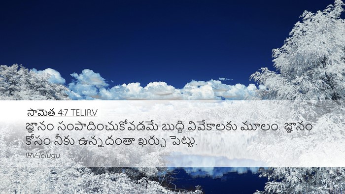 సామెత 4:7 TELIRV Desktop Wallpaper - జ్ఞానం - Desktop Bible Verse Wallpaper