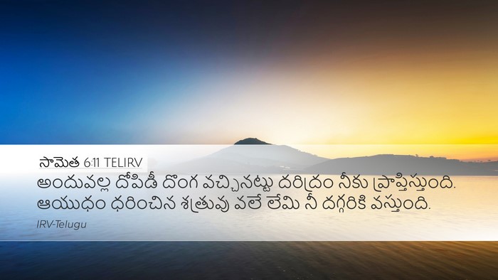 సామెత 6:11 TELIRV Desktop Wallpaper - అందువల్ల దోపిడీ - Desktop Bible Verse Wallpaper