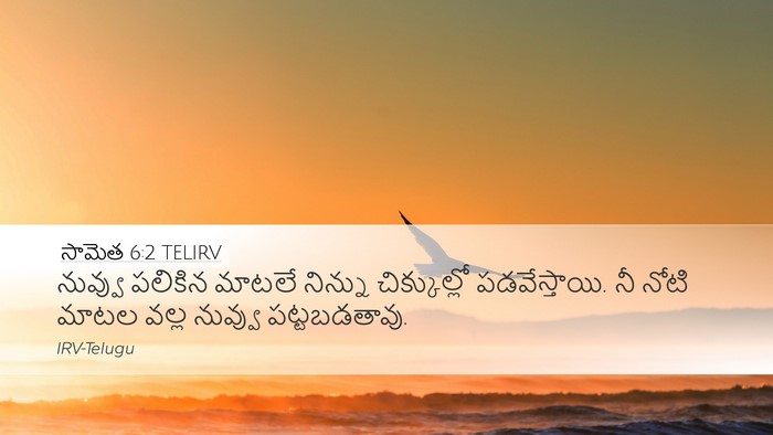 సామెత 6:2 TELIRV Bible Verse Image