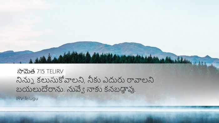 సామెత 7:15 TELIRV Desktop Wallpaper - నిన్ను - Desktop Bible Verse Wallpaper
