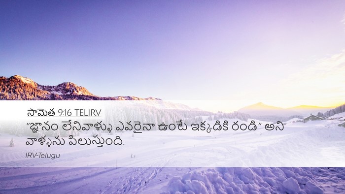 సామెత 9:16 TELIRV Bible Verse Image