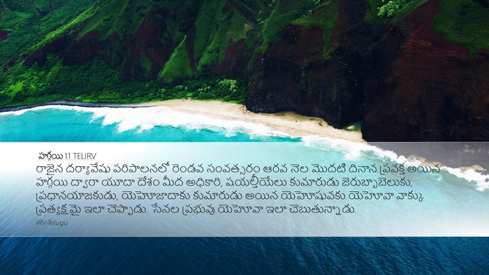 హగ్గయి 1:1 TELIRV Bible Verse Image