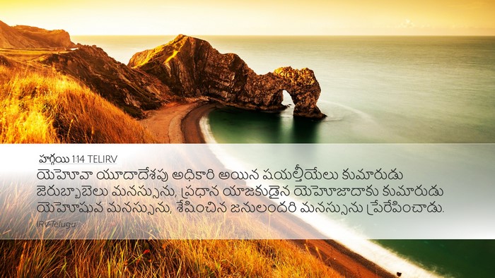 హగ్గయి 1:14 TELIRV Bible Verse Image