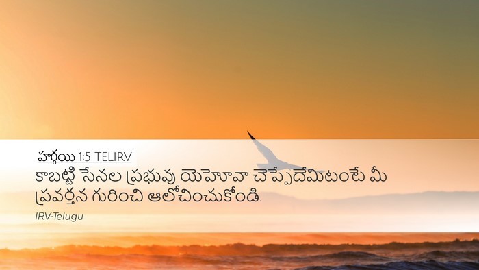 హగ్గయి 1:5 TELIRV Bible Verse Image