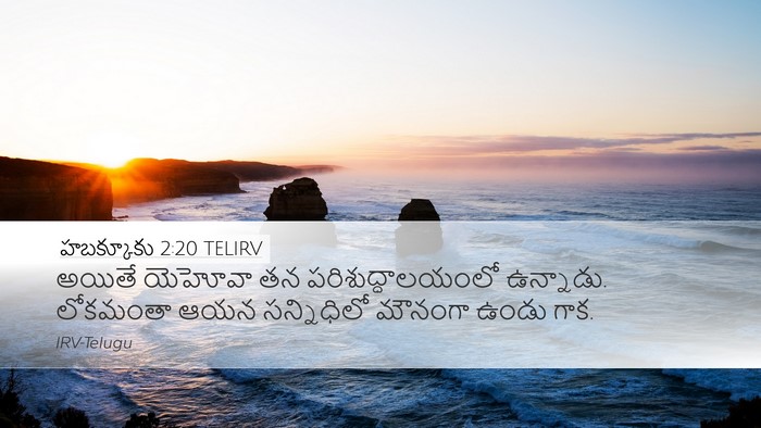 హబక్కూకు 2:20 TELIRV Bible Verse Image