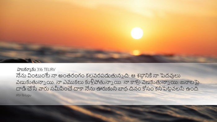 హబక్కూకు 3:16 TELIRV Bible Verse Image