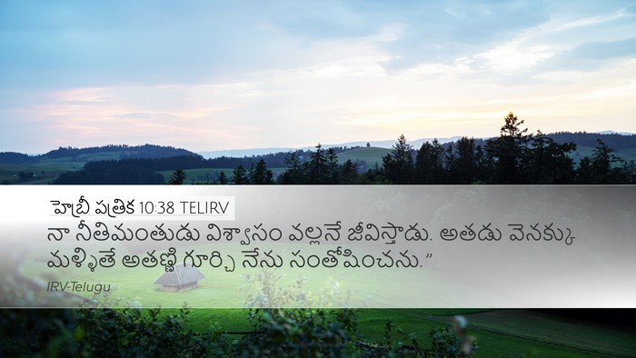 హెబ్రీ పత్రిక 10:38 TELIRV Bible Verse Image