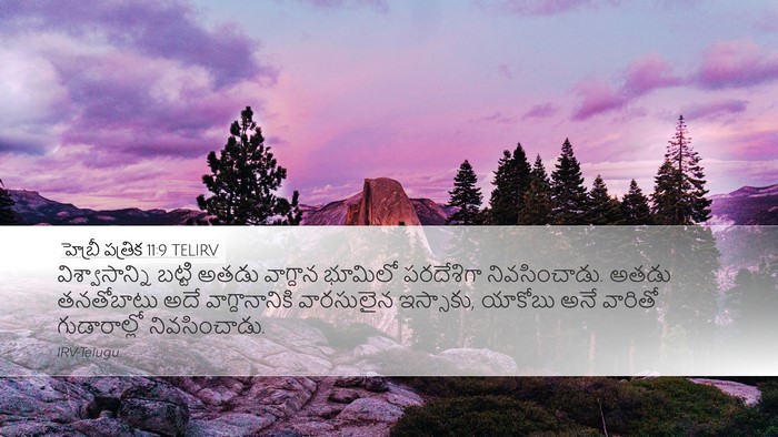హెబ్రీ పత్రిక 11:9 TELIRV Bible Verse Image