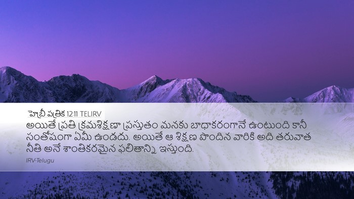 హెబ్రీ పత్రిక 12:11 TELIRV Bible Verse Image