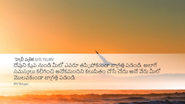 హెబ్రీ పత్రిక 12:15 TELIRV Bible Verse Image