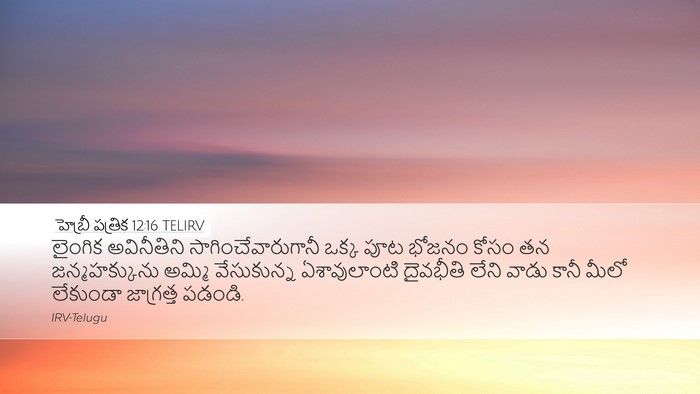 హెబ్రీ పత్రిక 12:16 TELIRV Bible Verse Image