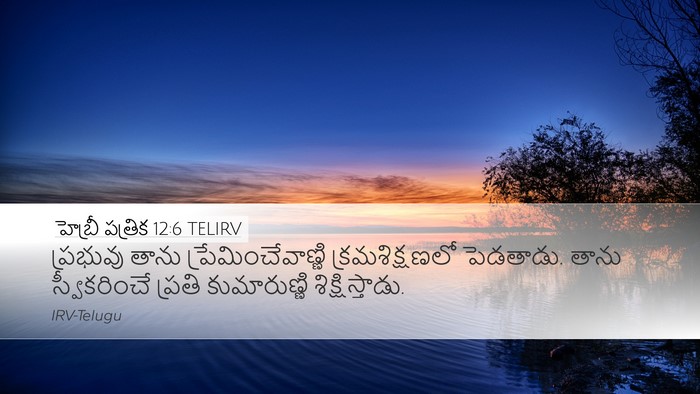 హెబ్రీ పత్రిక 12:6 TELIRV Bible Verse Image