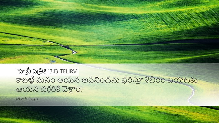హెబ్రీ పత్రిక 13:13 TELIRV Bible Verse Image