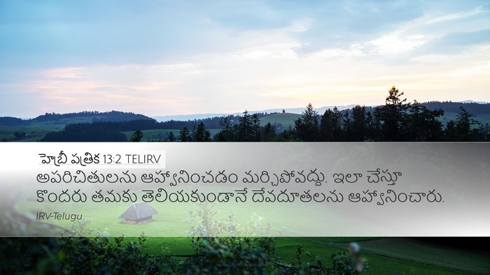 హెబ్రీ పత్రిక 13:2 TELIRV Bible Verse Image
