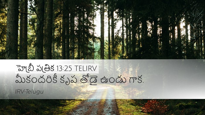 హెబ్రీ పత్రిక 13:25 TELIRV Bible Verse Image
