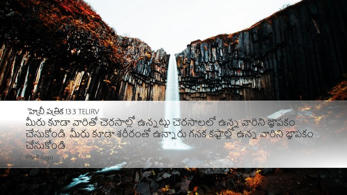 హెబ్రీ పత్రిక 13:3 TELIRV Bible Verse Image