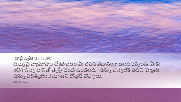 హెబ్రీ పత్రిక 13:5 TELIRV Bible Verse Image