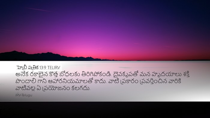 హెబ్రీ పత్రిక 13:9 TELIRV Bible Verse Image
