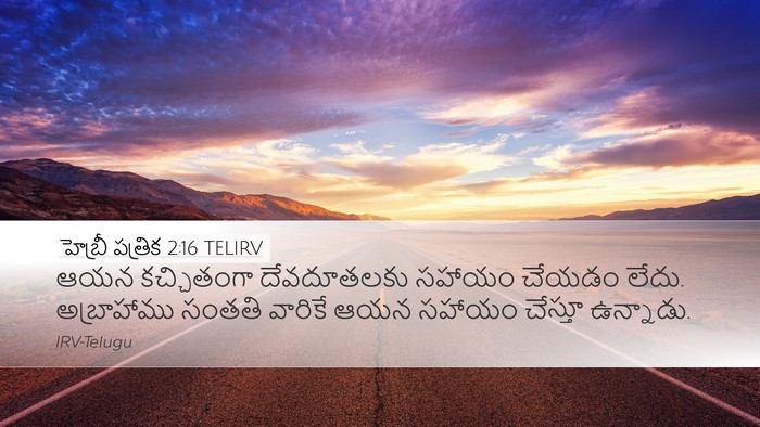 హెబ్రీ పత్రిక 2:16 TELIRV Desktop Wallpaper - ఆయన కచ్చితంగా - Desktop Bible Verse Wallpaper