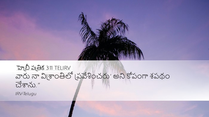 హెబ్రీ పత్రిక 3:11 TELIRV Bible Verse Image
