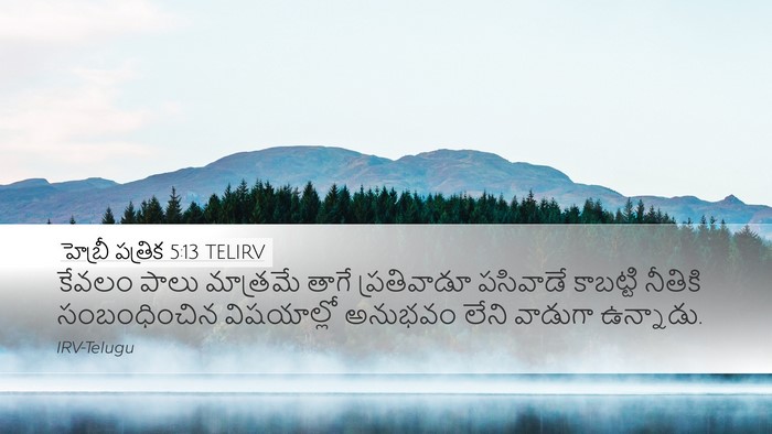 హెబ్రీ పత్రిక 5:13 TELIRV Bible Verse Image