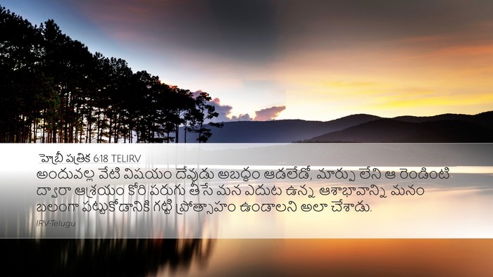 హెబ్రీ పత్రిక 6:18 TELIRV Bible Verse Image
