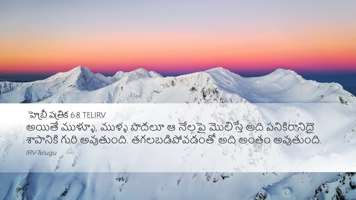 హెబ్రీ పత్రిక 6:8 TELIRV Bible Verse Image