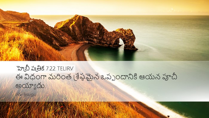 హెబ్రీ పత్రిక 7:22 TELIRV Bible Verse Image
