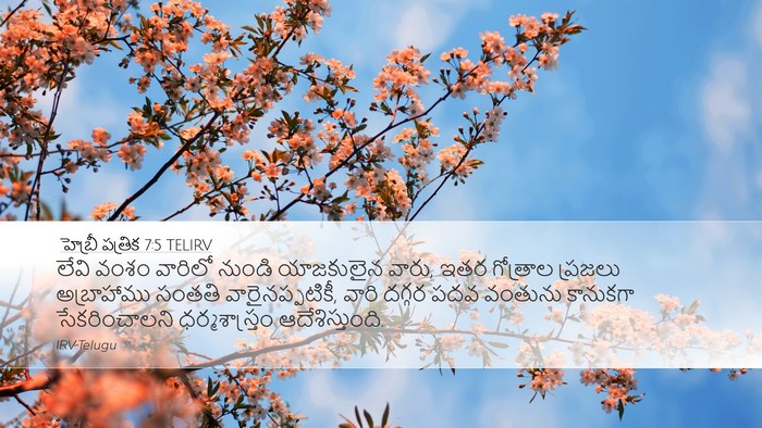 హెబ్రీ పత్రిక 7:5 TELIRV Bible Verse Image