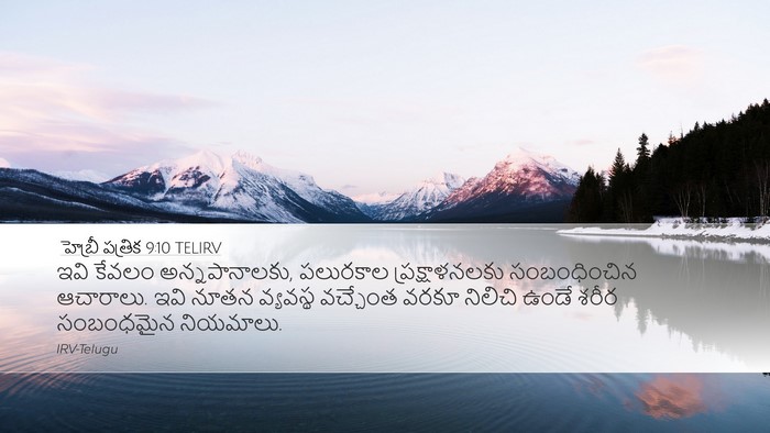 హెబ్రీ పత్రిక 9:10 TELIRV Bible Verse Image