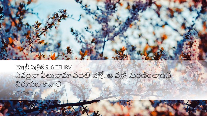 హెబ్రీ పత్రిక 9:16 TELIRV Bible Verse Image