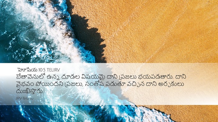 హోషేయ 10:5 TELIRV Bible Verse Image