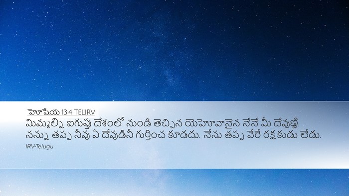 హోషేయ 13:4 TELIRV Bible Verse Image