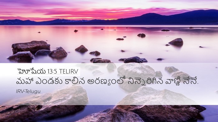 హోషేయ 13:5 TELIRV Bible Verse Image