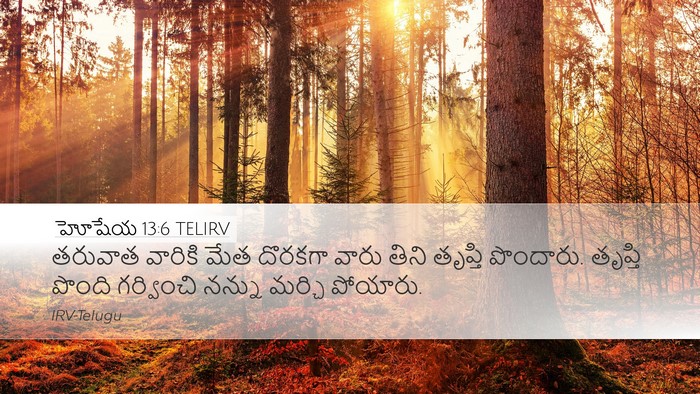 హోషేయ 13:6 TELIRV Bible Verse Image