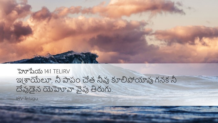 హోషేయ 14:1 TELIRV Bible Verse Image