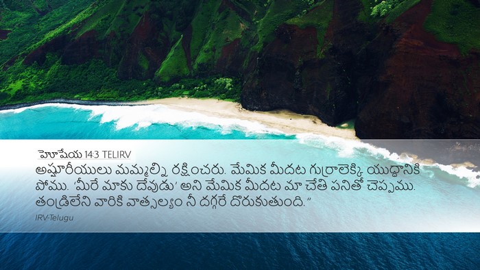 హోషేయ 14:3 TELIRV Bible Verse Image