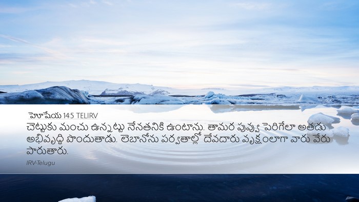 హోషేయ 14:5 TELIRV Bible Verse Image