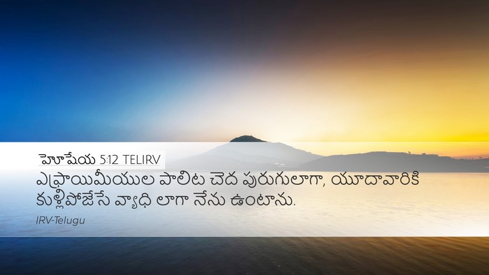 హోషేయ 5:12 TELIRV Bible Verse Image