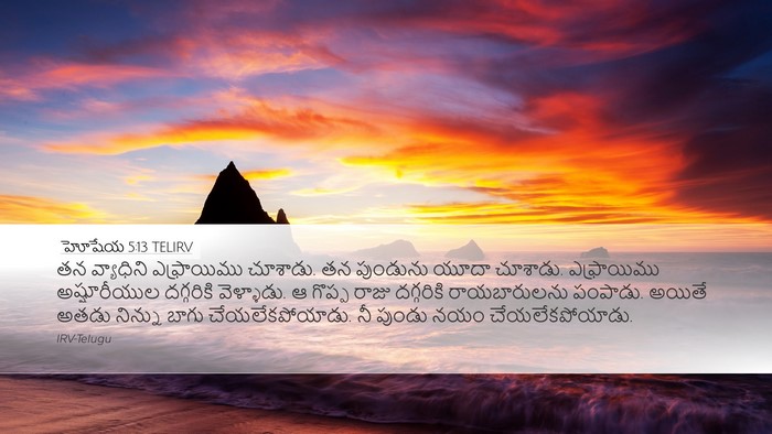 హోషేయ 5:13 TELIRV Bible Verse Image